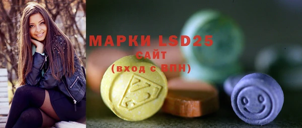 индика Балахна