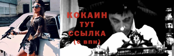 крисы Пересвет